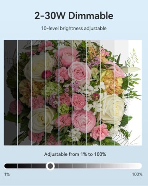 Photograhy Photo Light Box Booth (24 * 24 Inch) 24*24 Inch