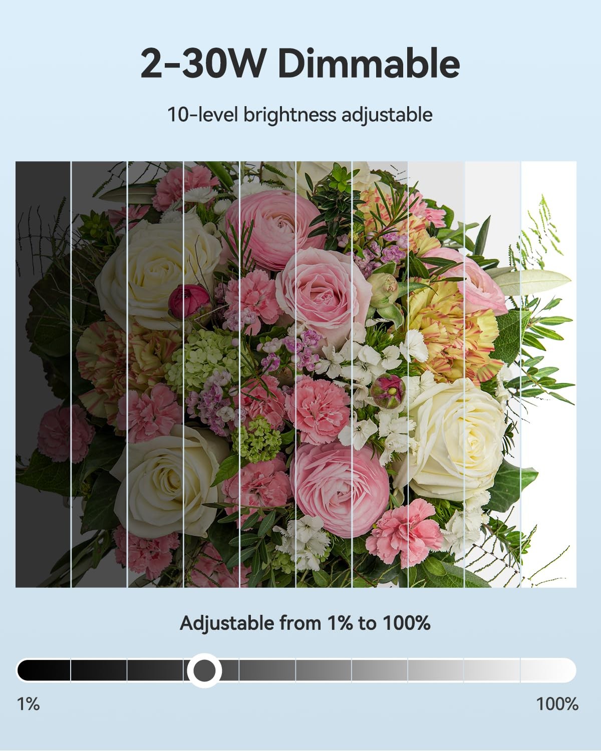 Photo Light Box Photography, Takerers Bi-Color Dimmable 24 24*24 Inch, Black