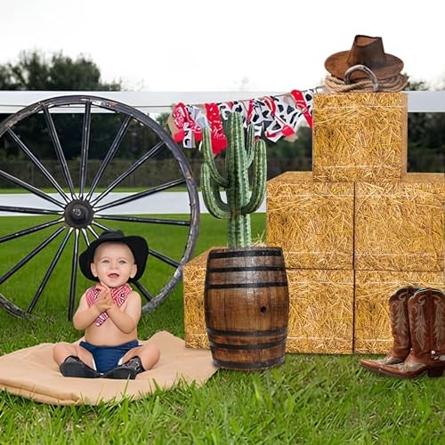 Pcs Cowboy Party Decorations Set, 6 Pcs Hay Bales Boxes and 4 Pcs Western 10