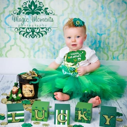 St Patricks Day Photo Booth Props, Pack of 24 Pcs St Patricks Day Photo Props,