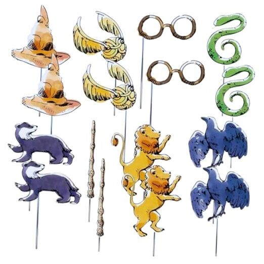 Harry Potter Multicolor (8 Pc) | Perfect For Magic Themed Photo Booth Props